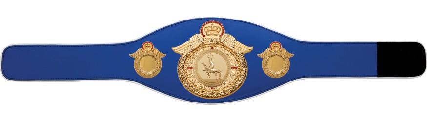 WRESTLING CHAMPIONSHIP BELT-PROWING/G/WRESTG-6+ COLOURS